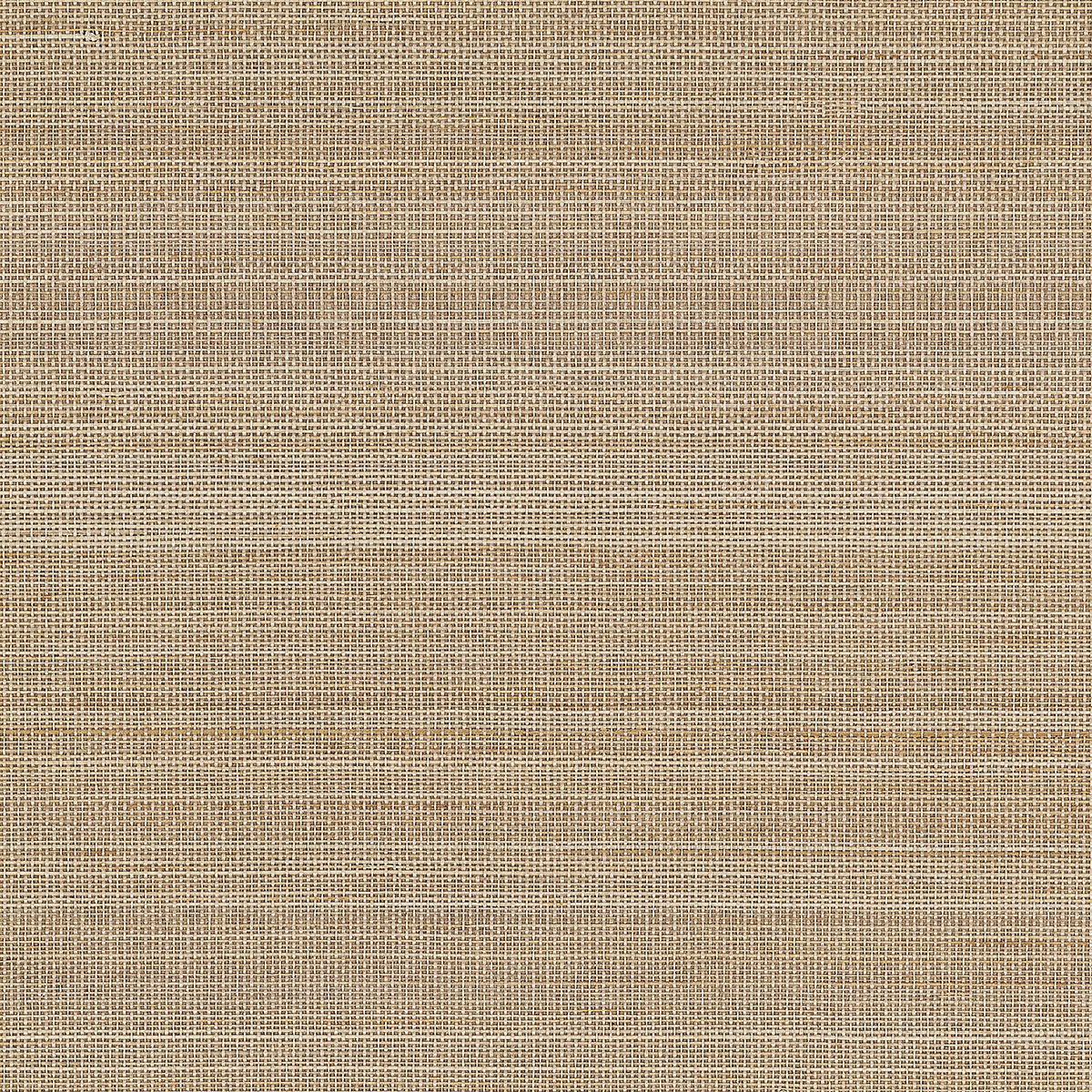Abaca Harvest - Sand Storm