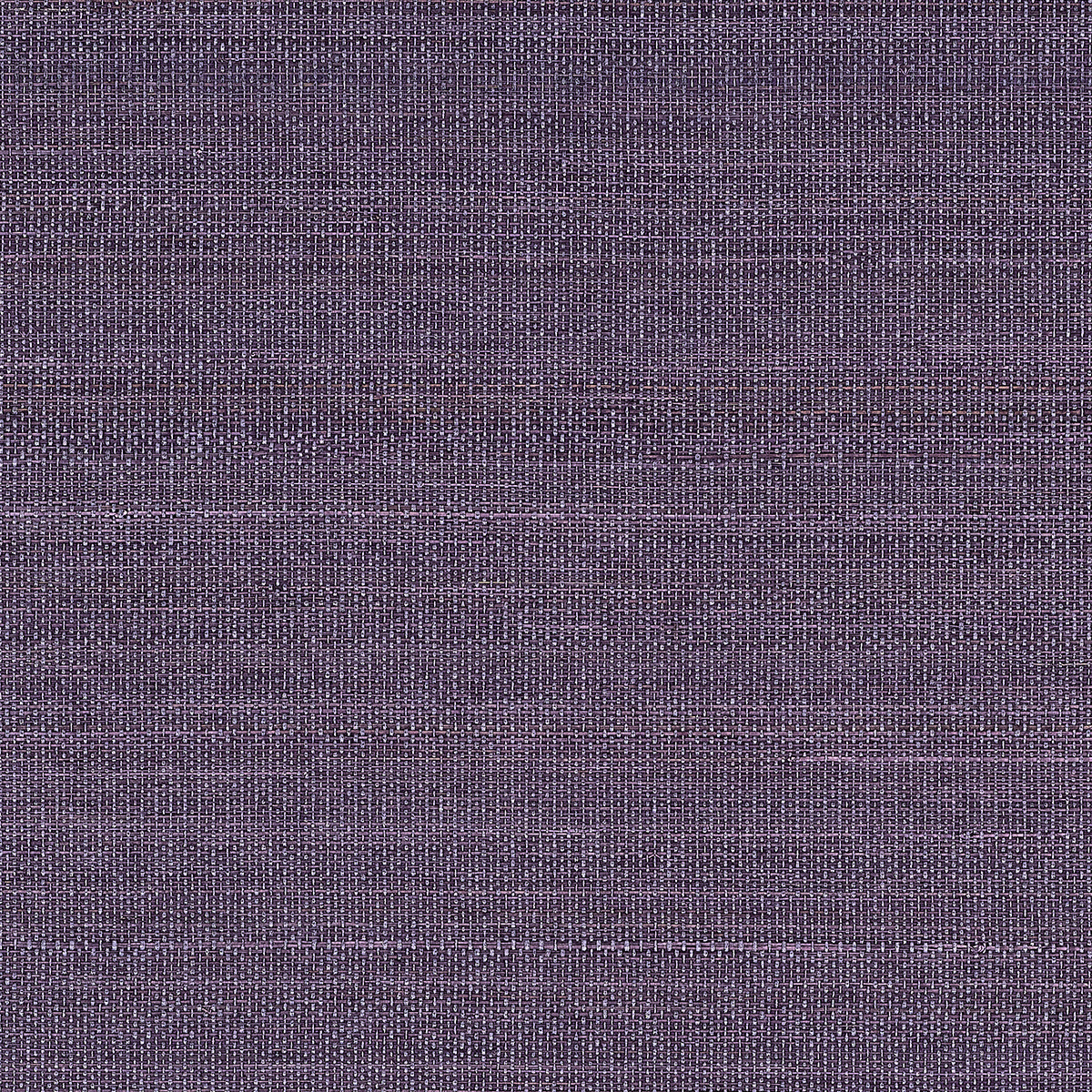 Abaca Harvest - Plum Prairie