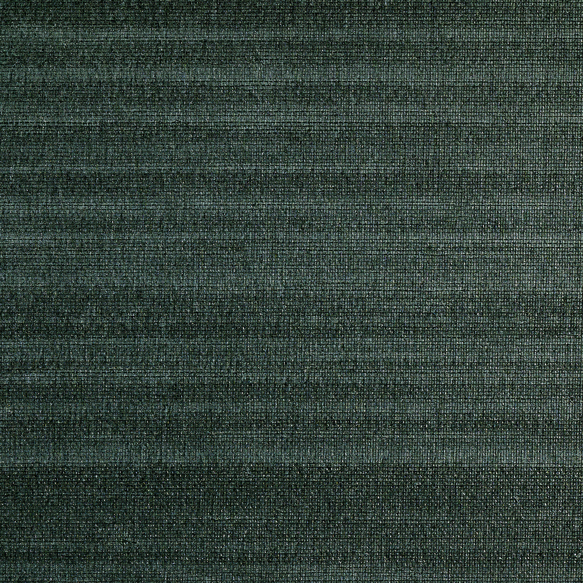 Abaca Mist - Forestry