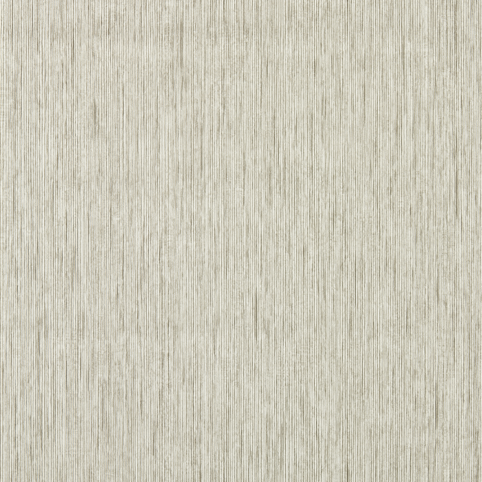 Asper - Putty Wp