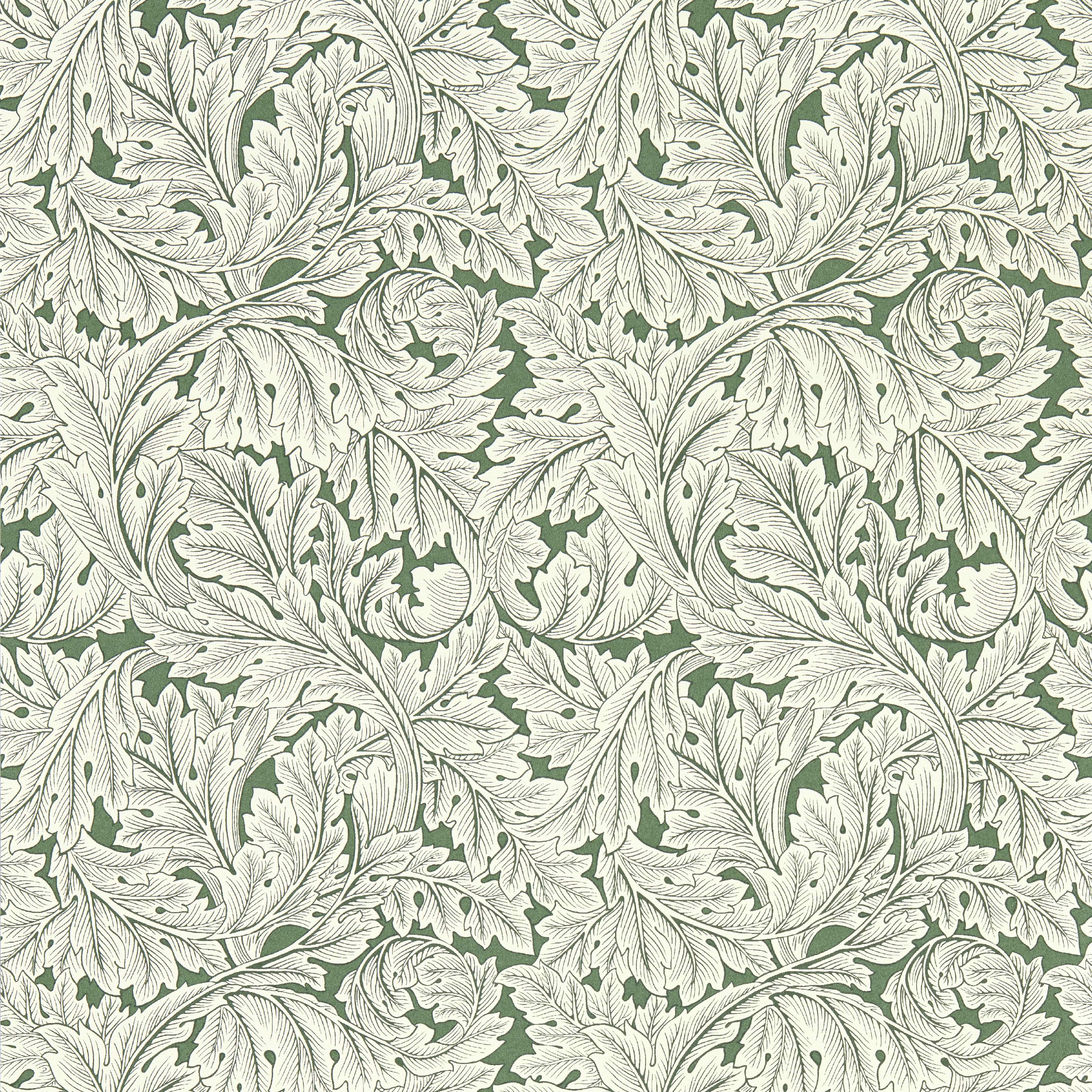 Acanthus Wp - Sage