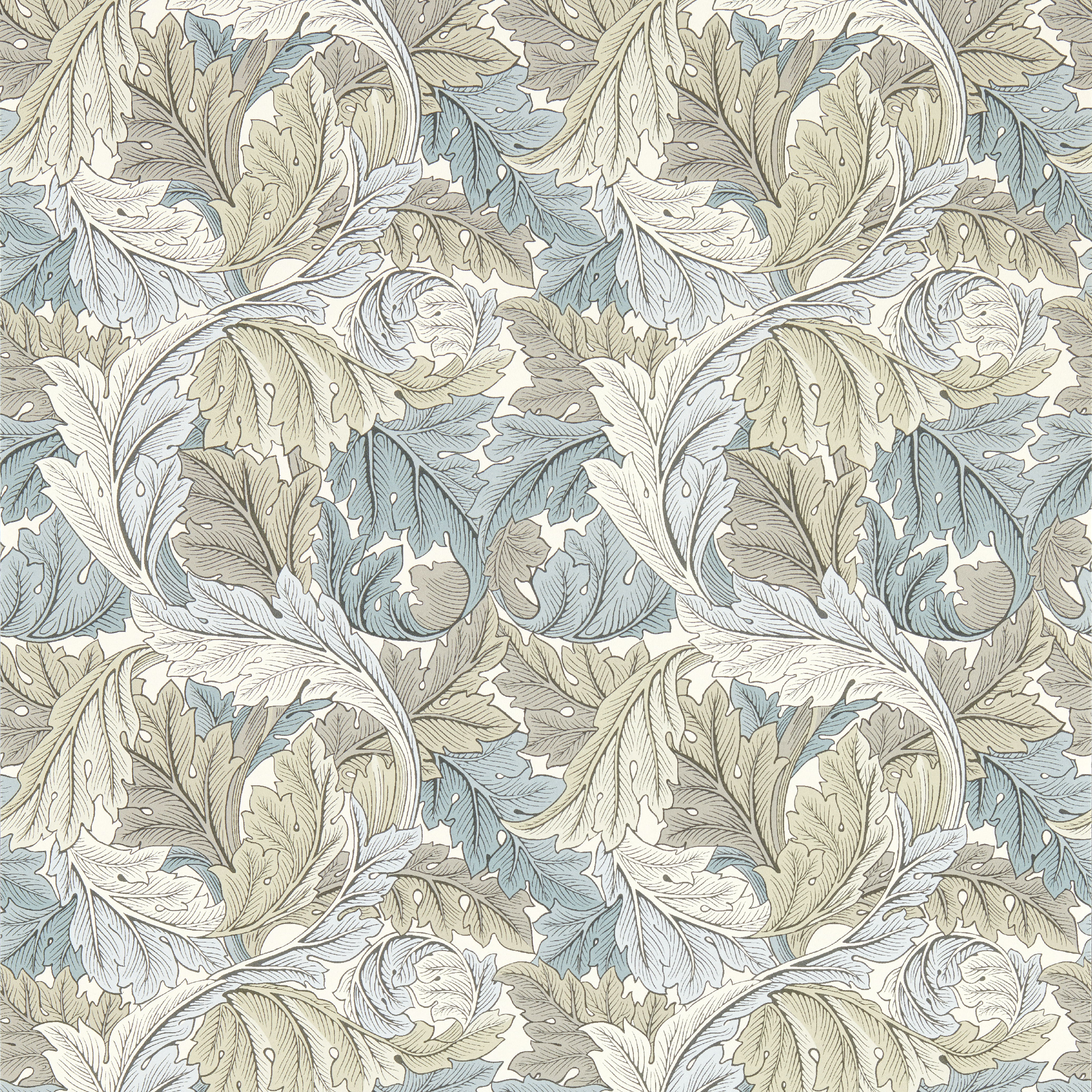 Acanthus Wp - Dove