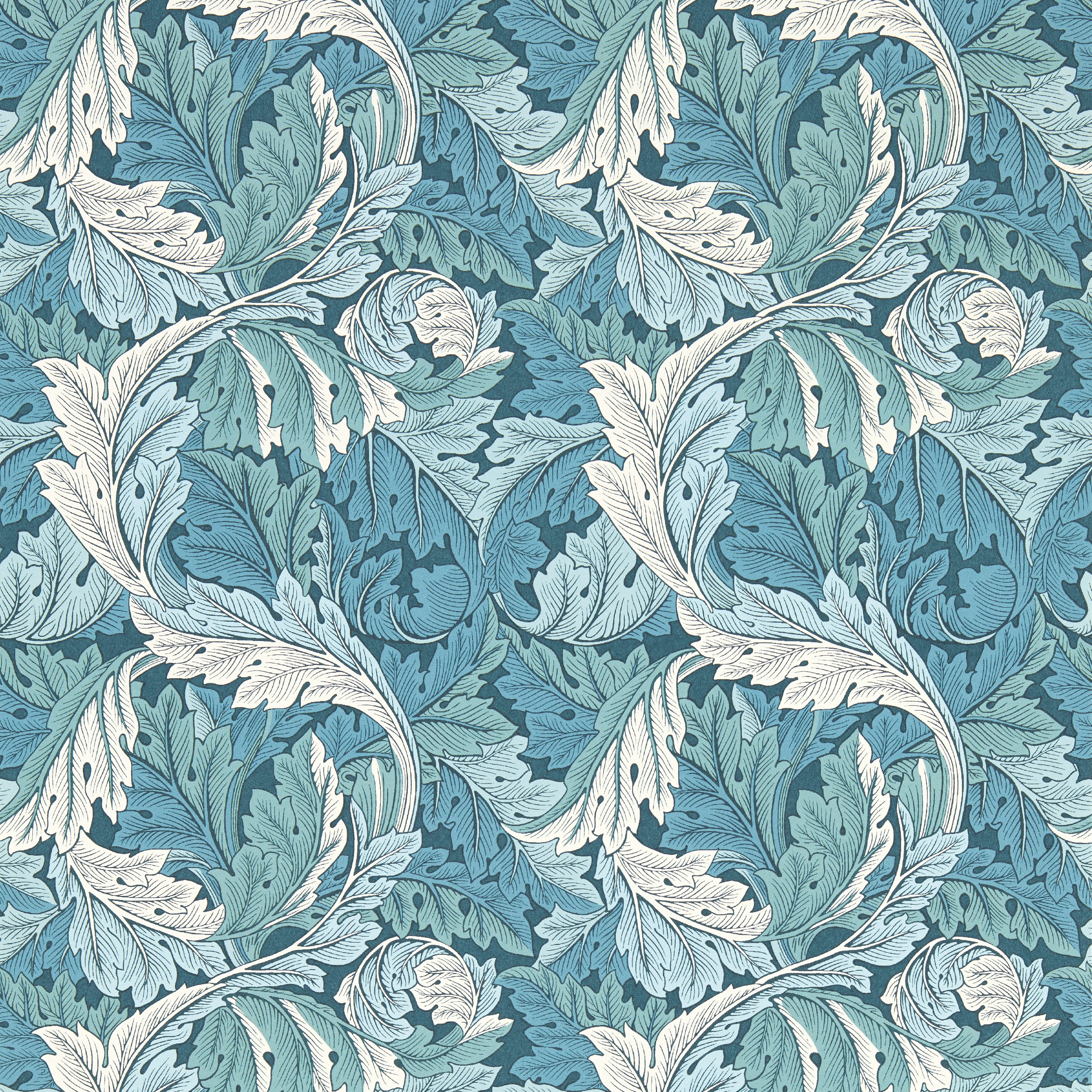 Acanthus Wp - Teal