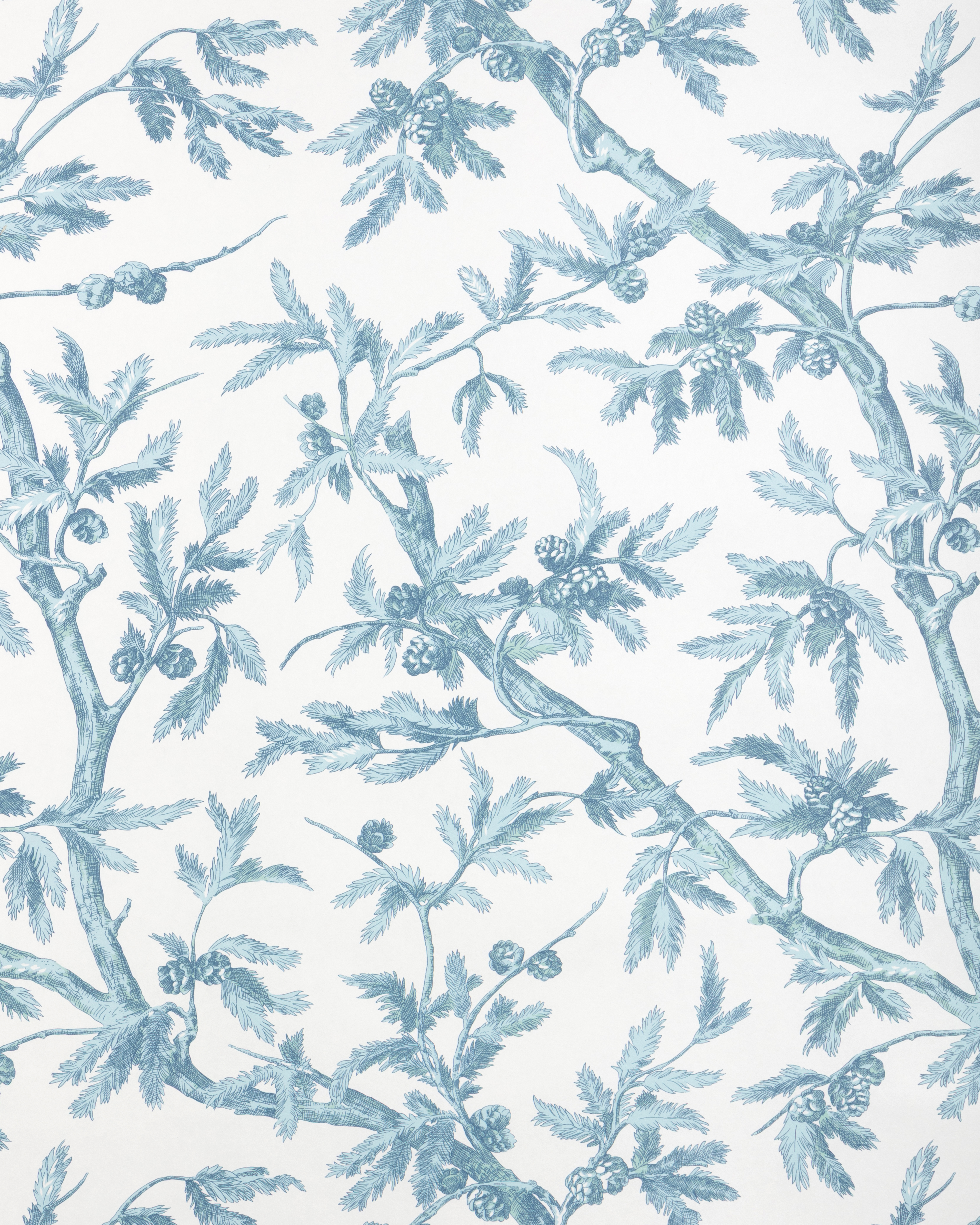 Branches De Pin Wc - Aqua