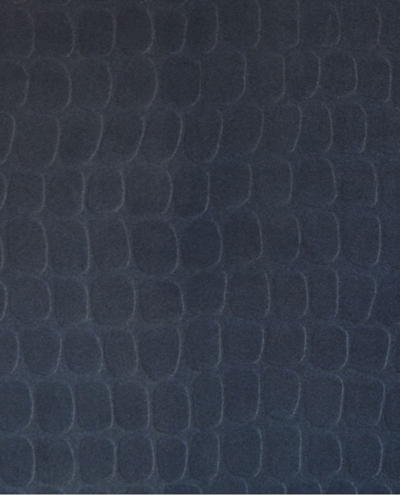 Skin - Blue (300564)