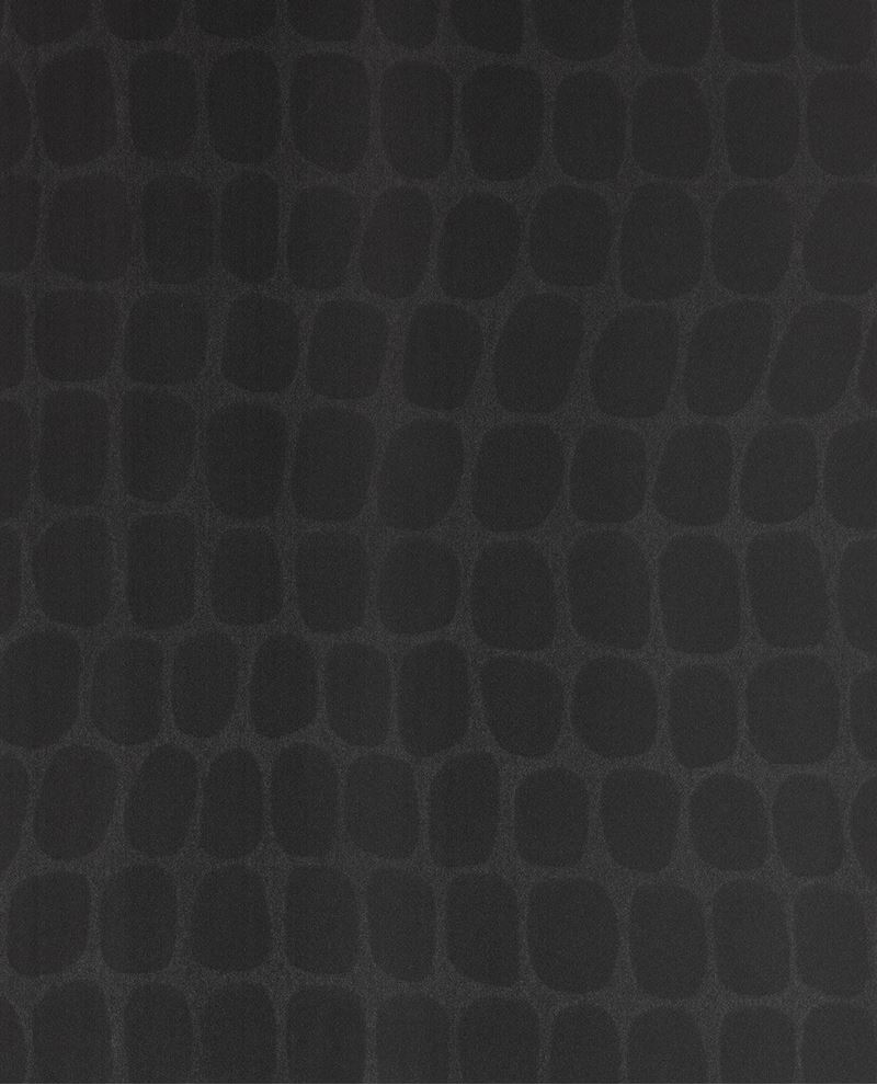 Skin - Black (300563)
