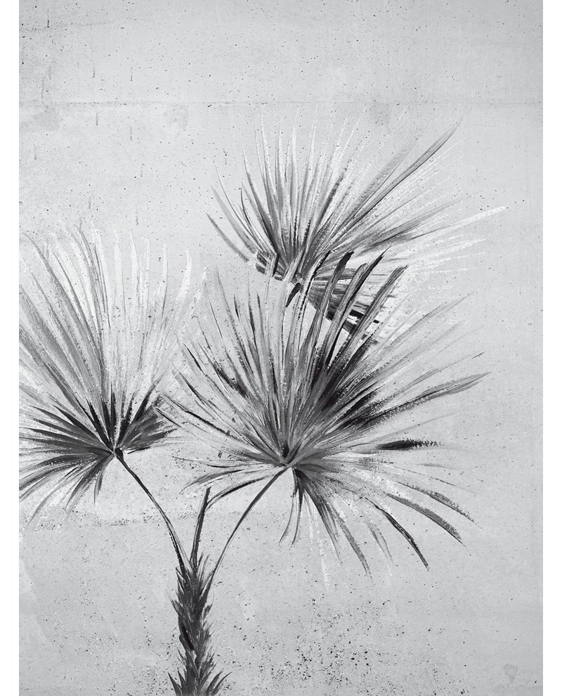 Terra - Black/White (391567)