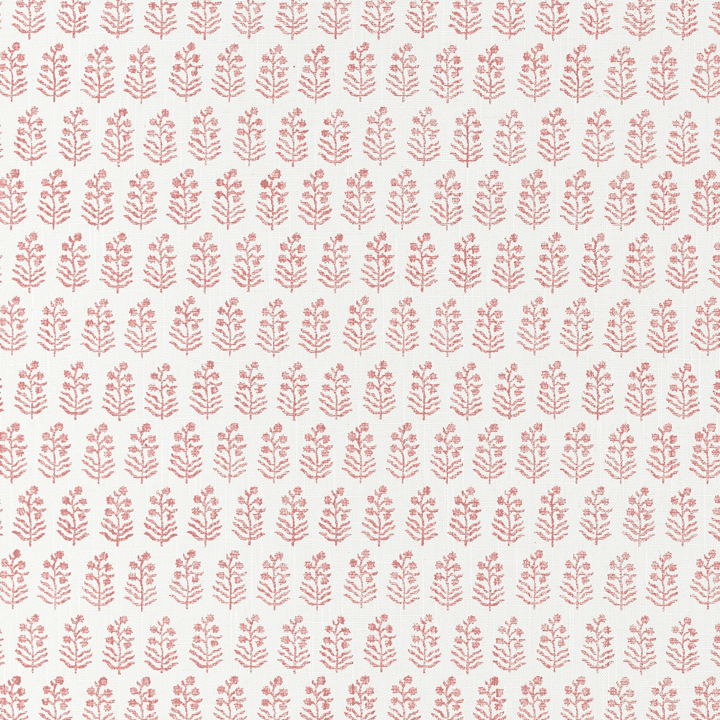 CHLOE Wallpaper - Blush