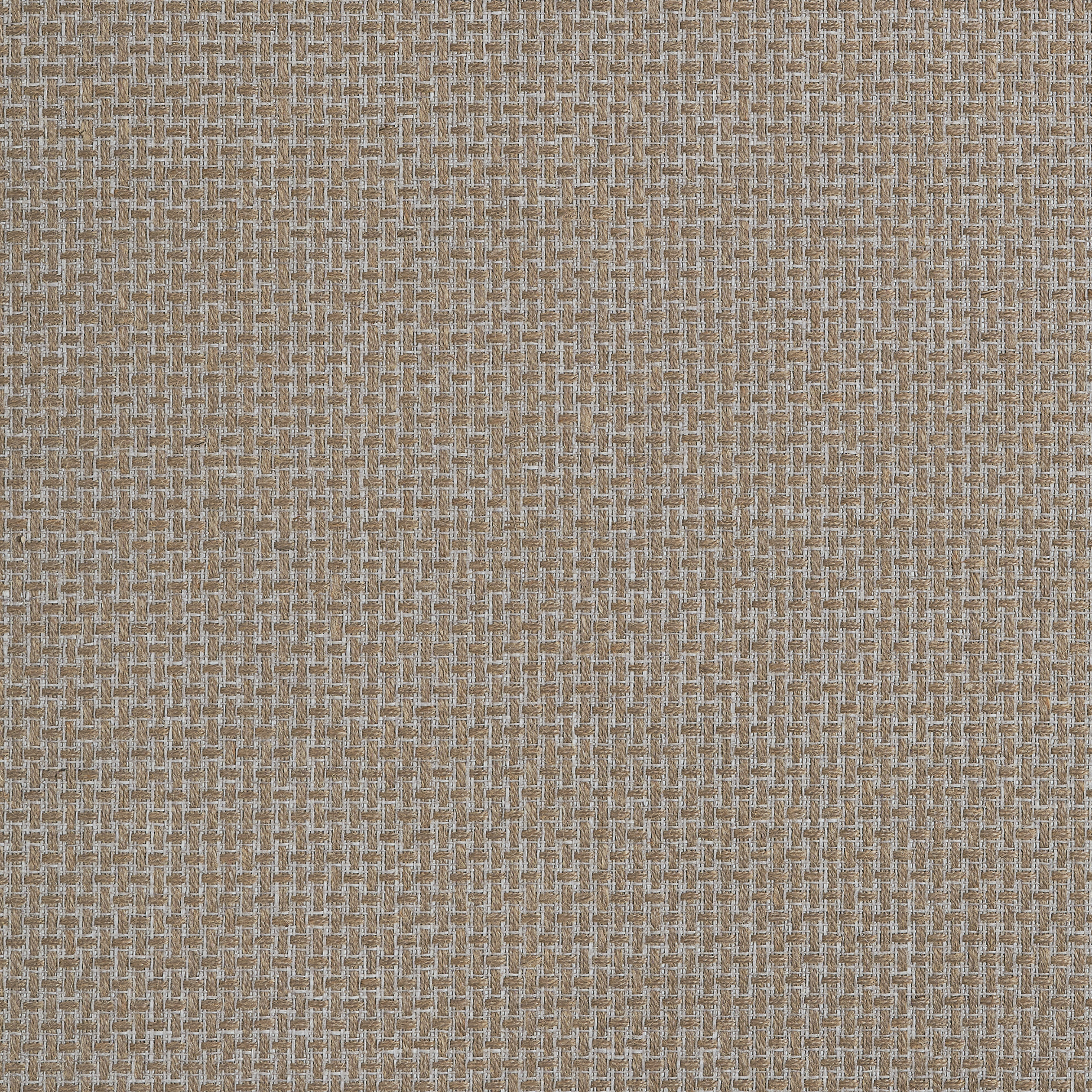 DEDALO Wallpaper - Taupe