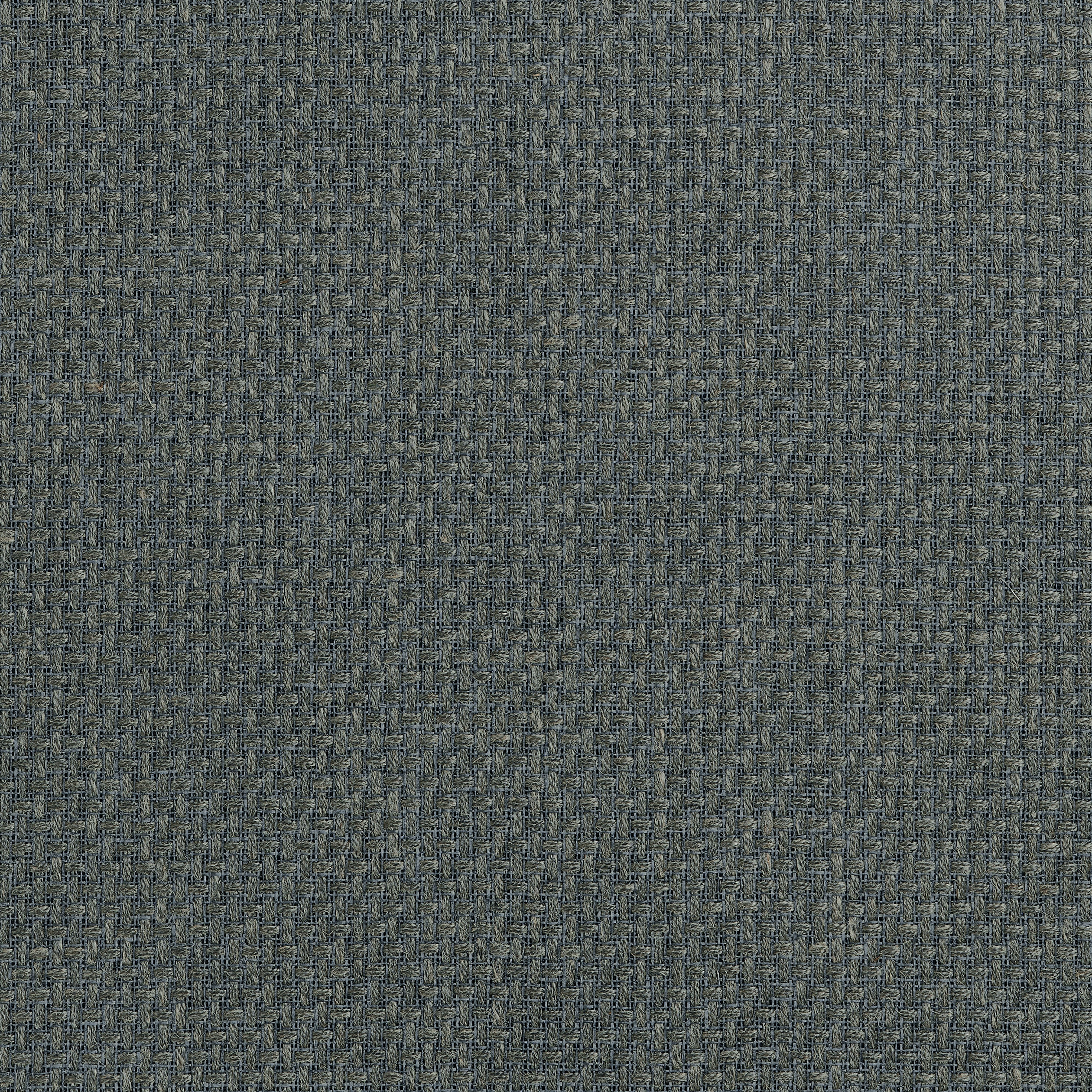 DEDALO Wallpaper - Charcoal