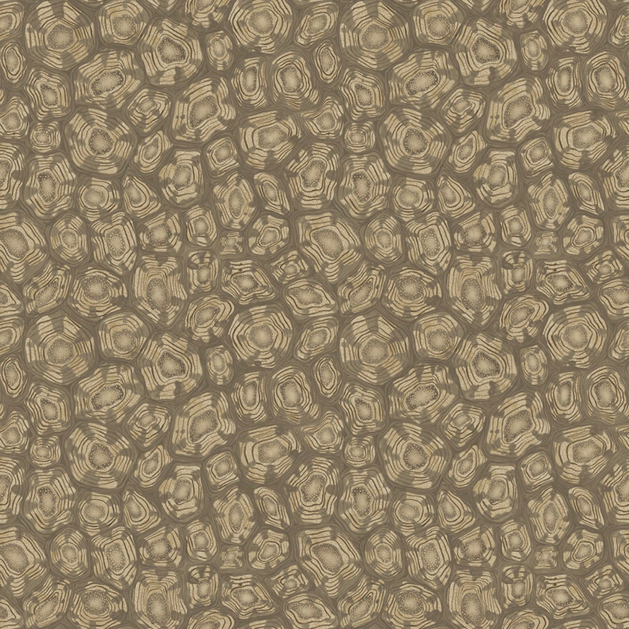 Savanna Shell - Gilver