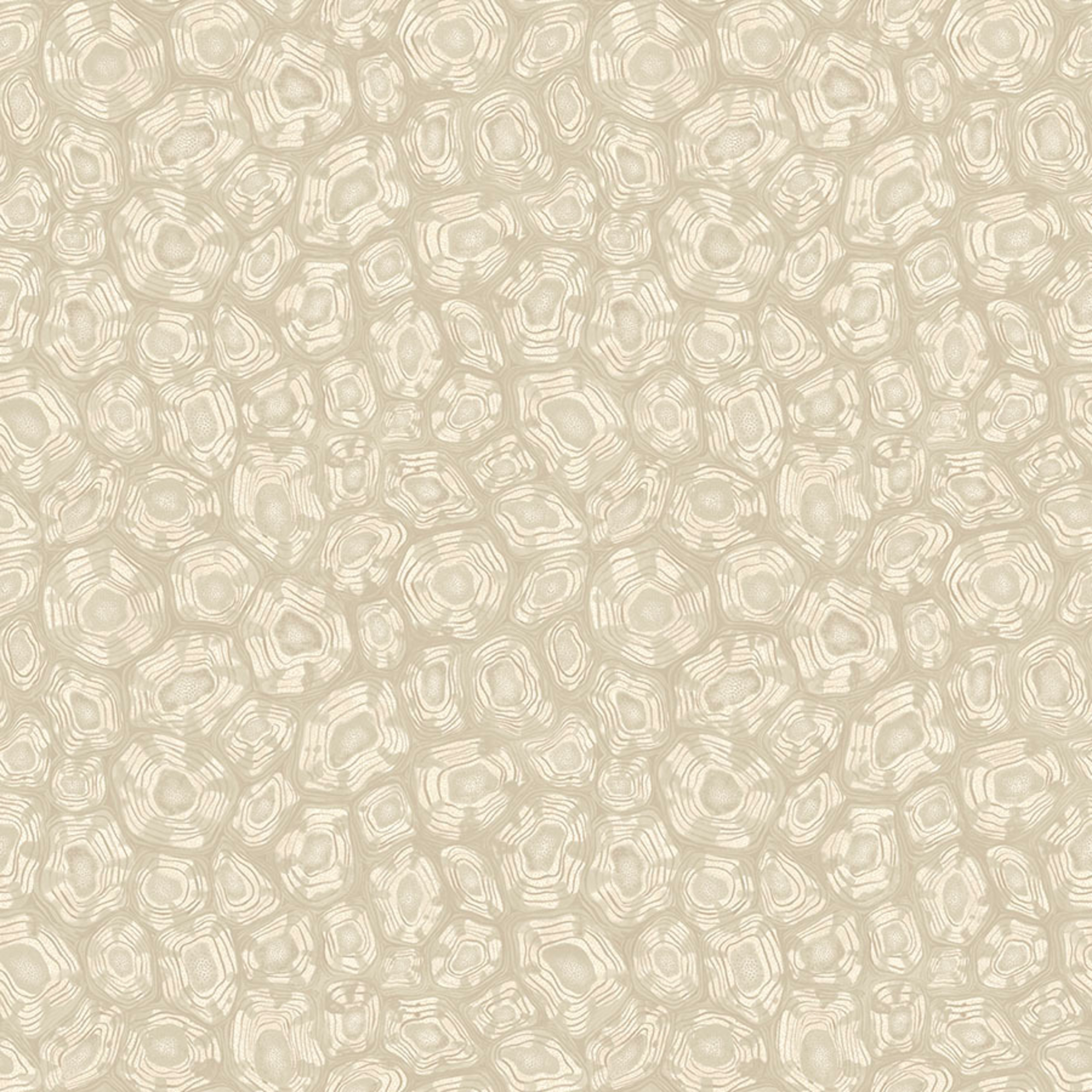 Savanna Shell - Parchment