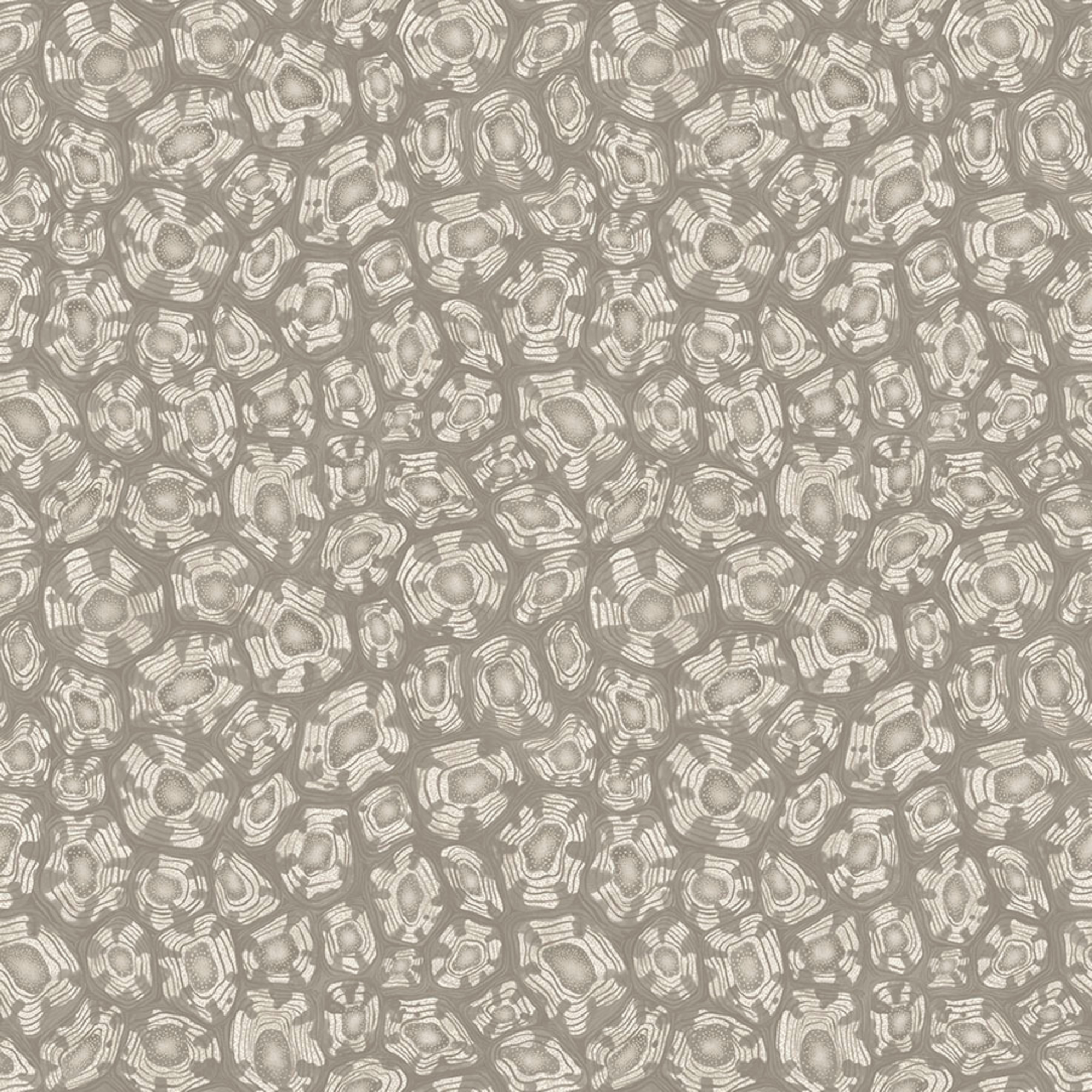 Savanna Shell - Taupe