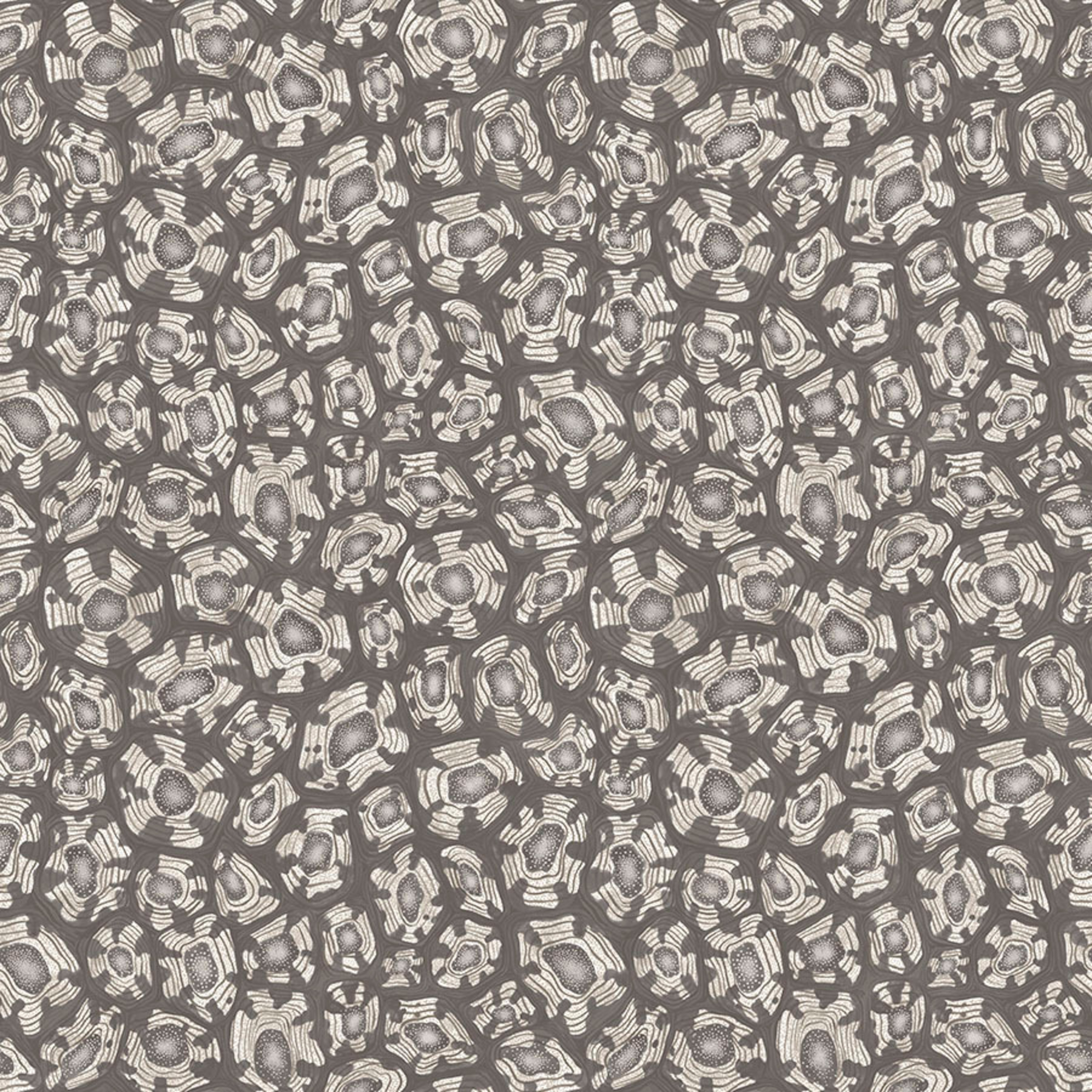Savanna Shell - Soot