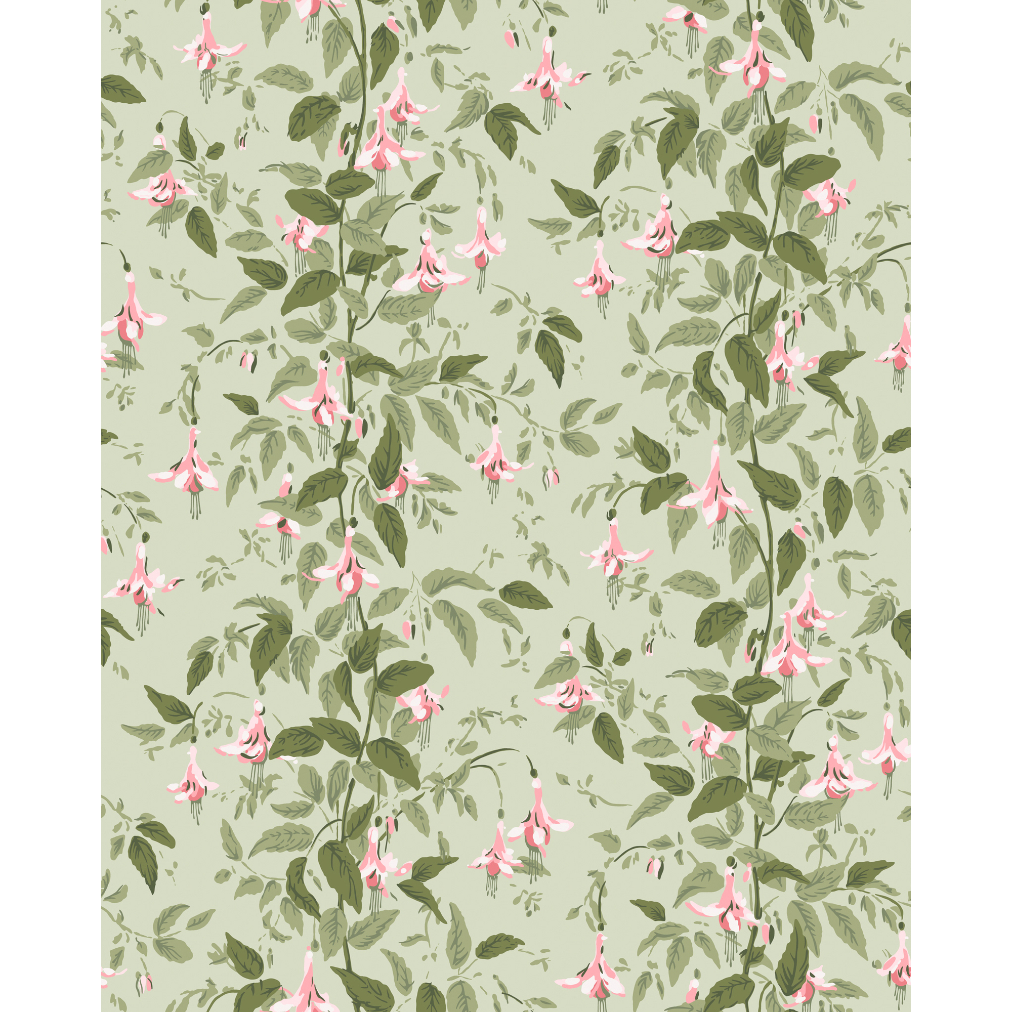 Fuschia - Powder Pink