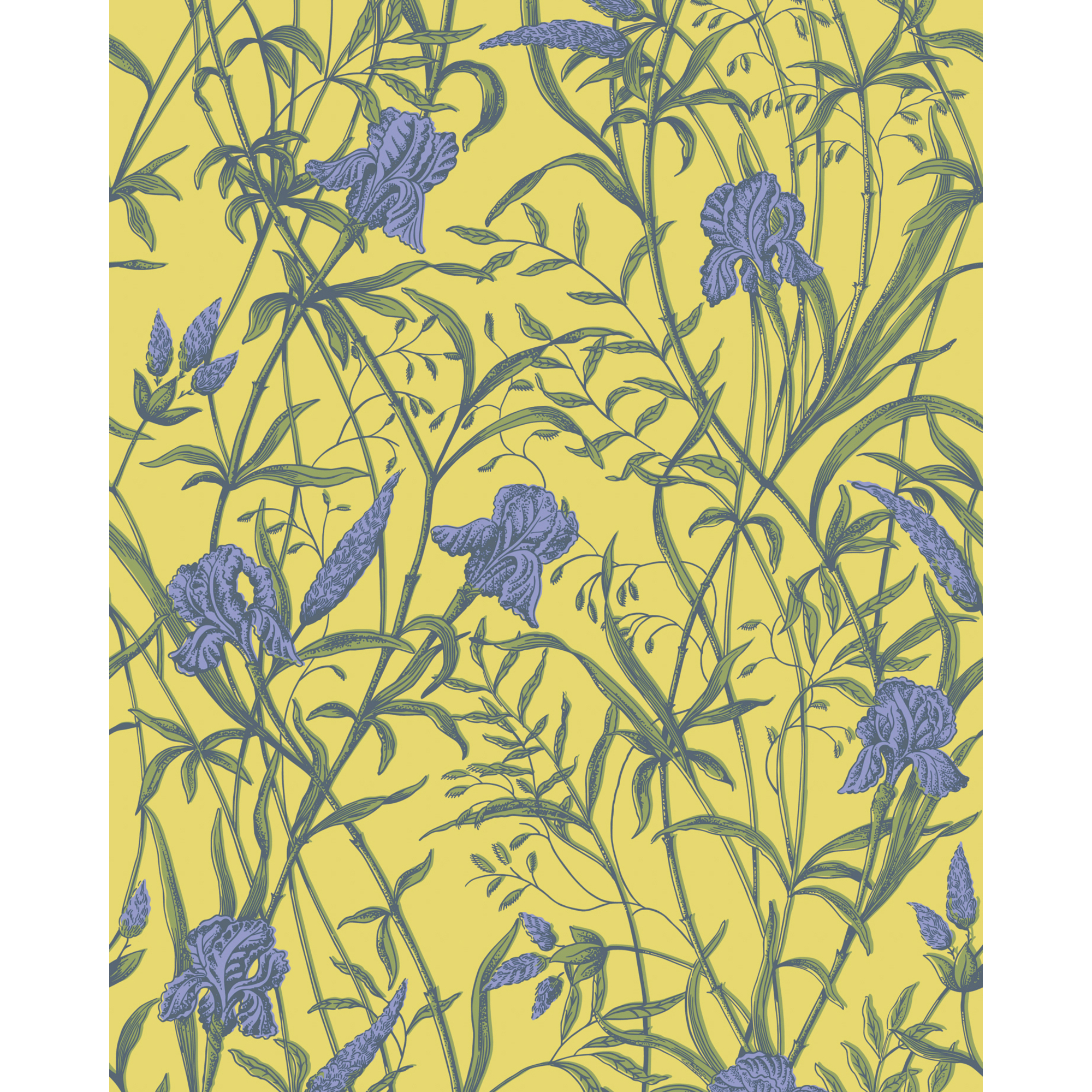 Iris - Violet On Citrine