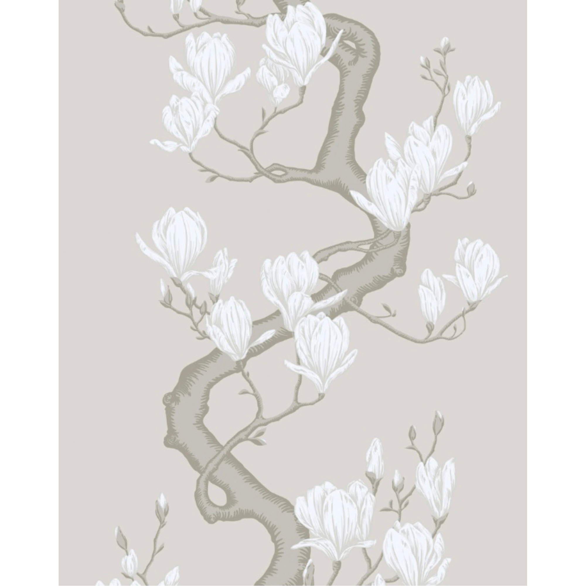 Magnolia Tree - Non Slub