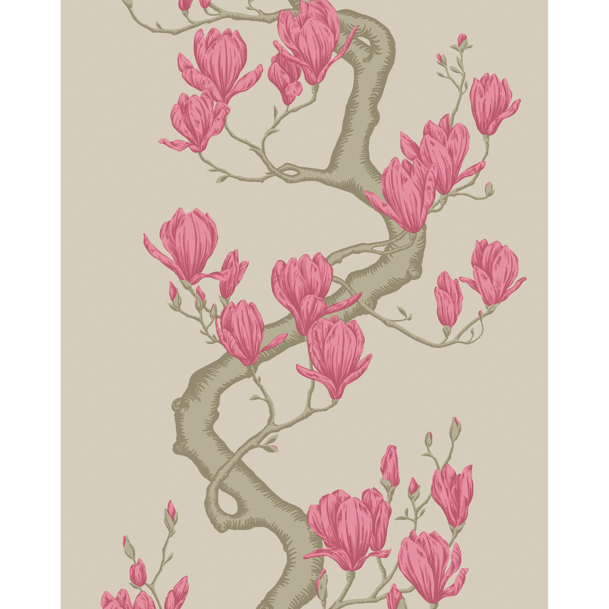 Magnolia Tree - Magenta