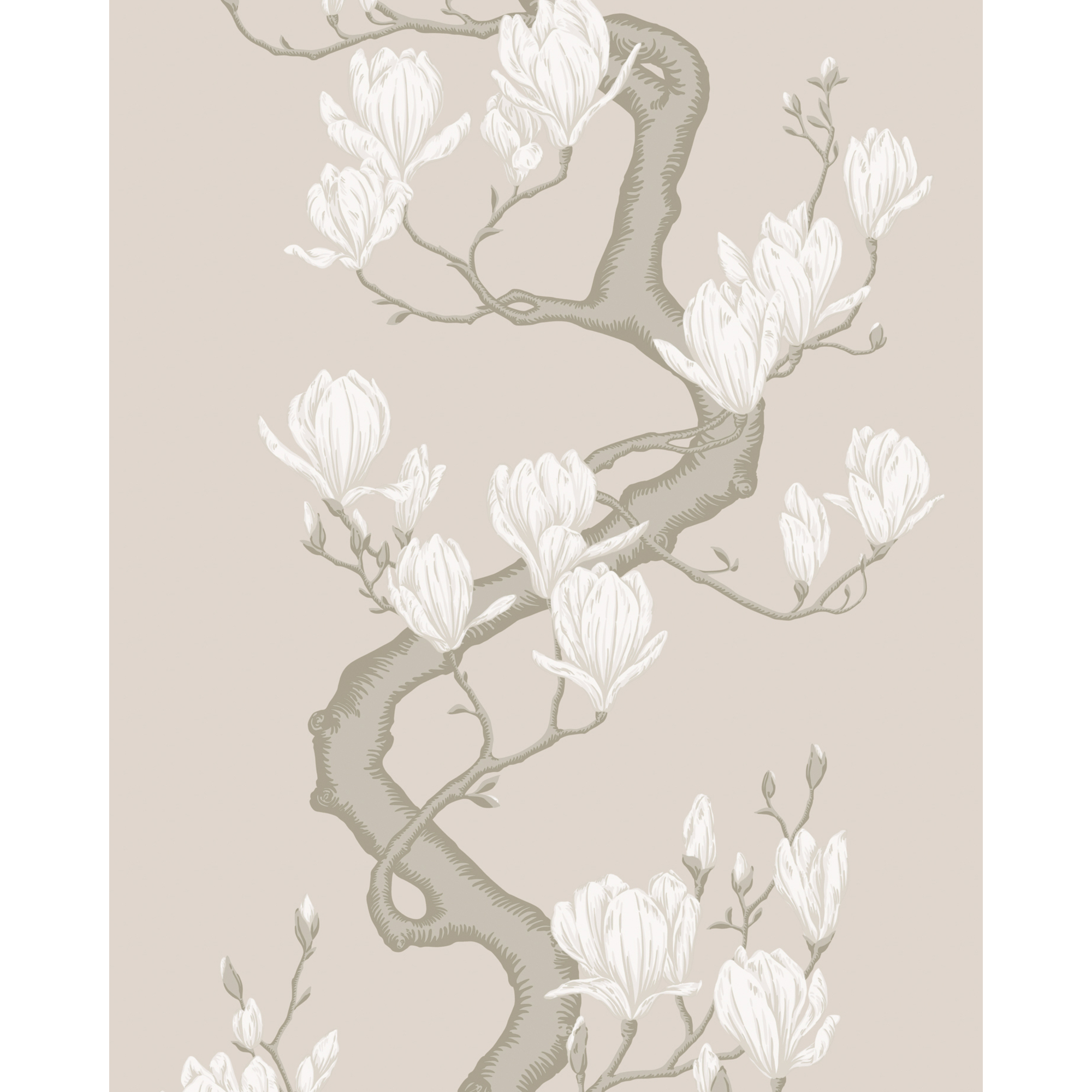 Magnolia Tree - Soft Cream