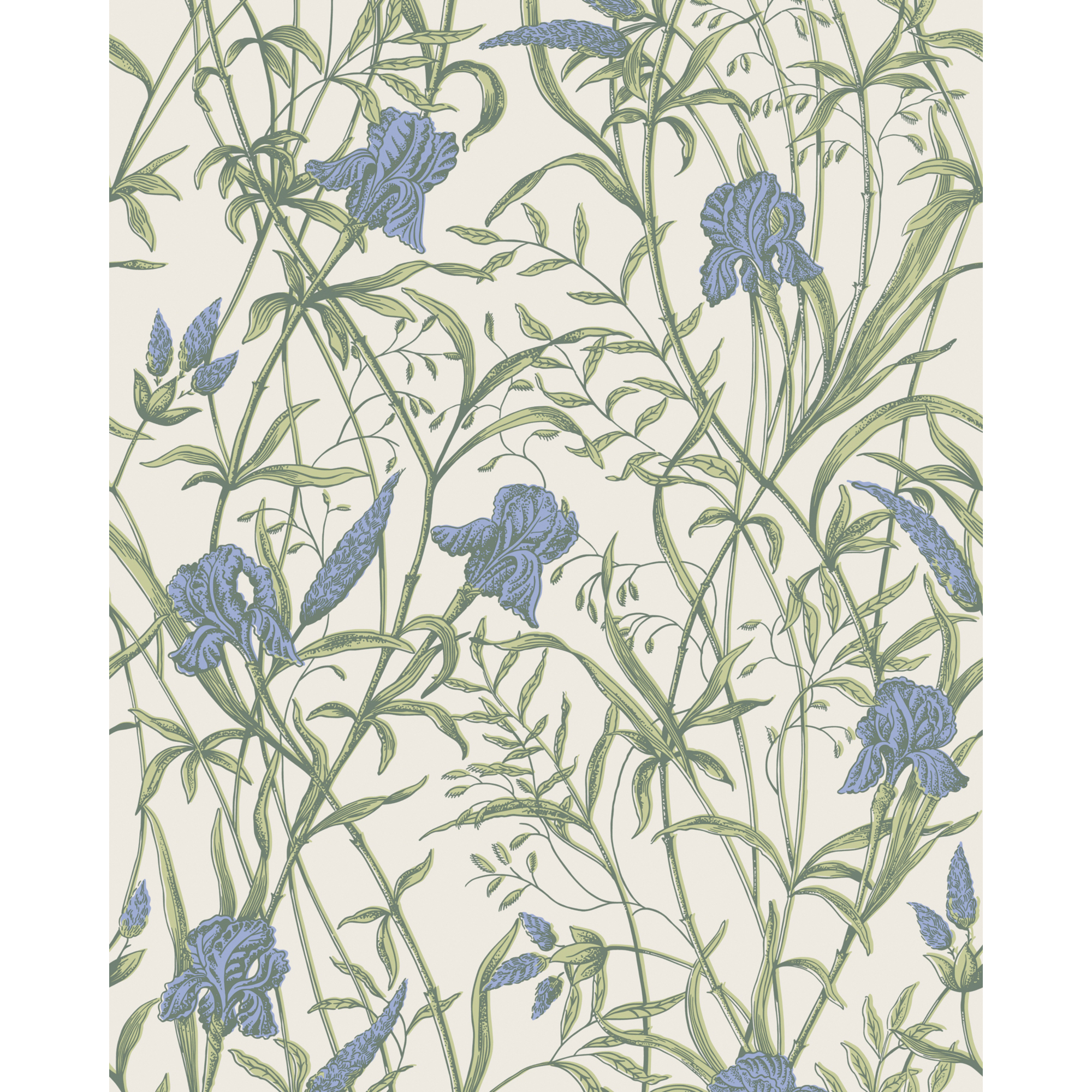 Iris - Iris Blue On Stone