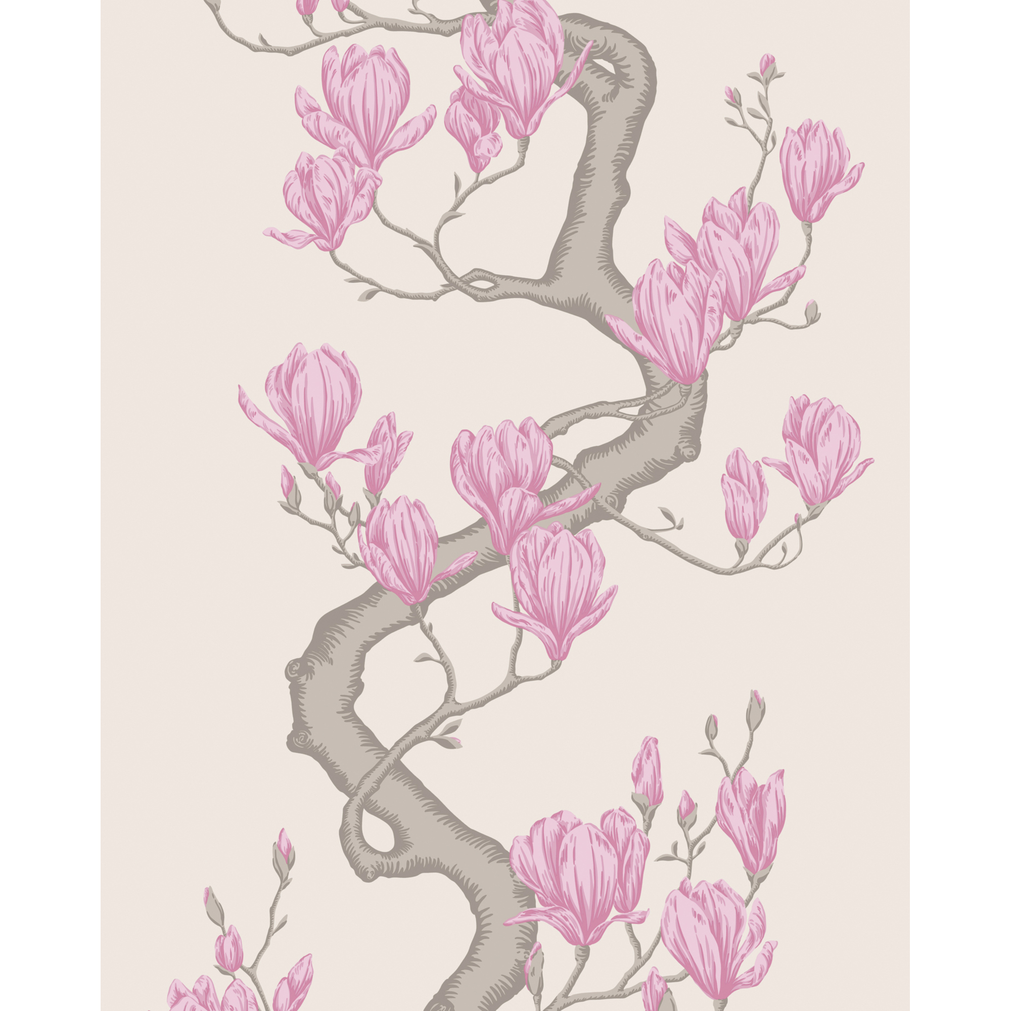 Magnolia Tree - Parchment