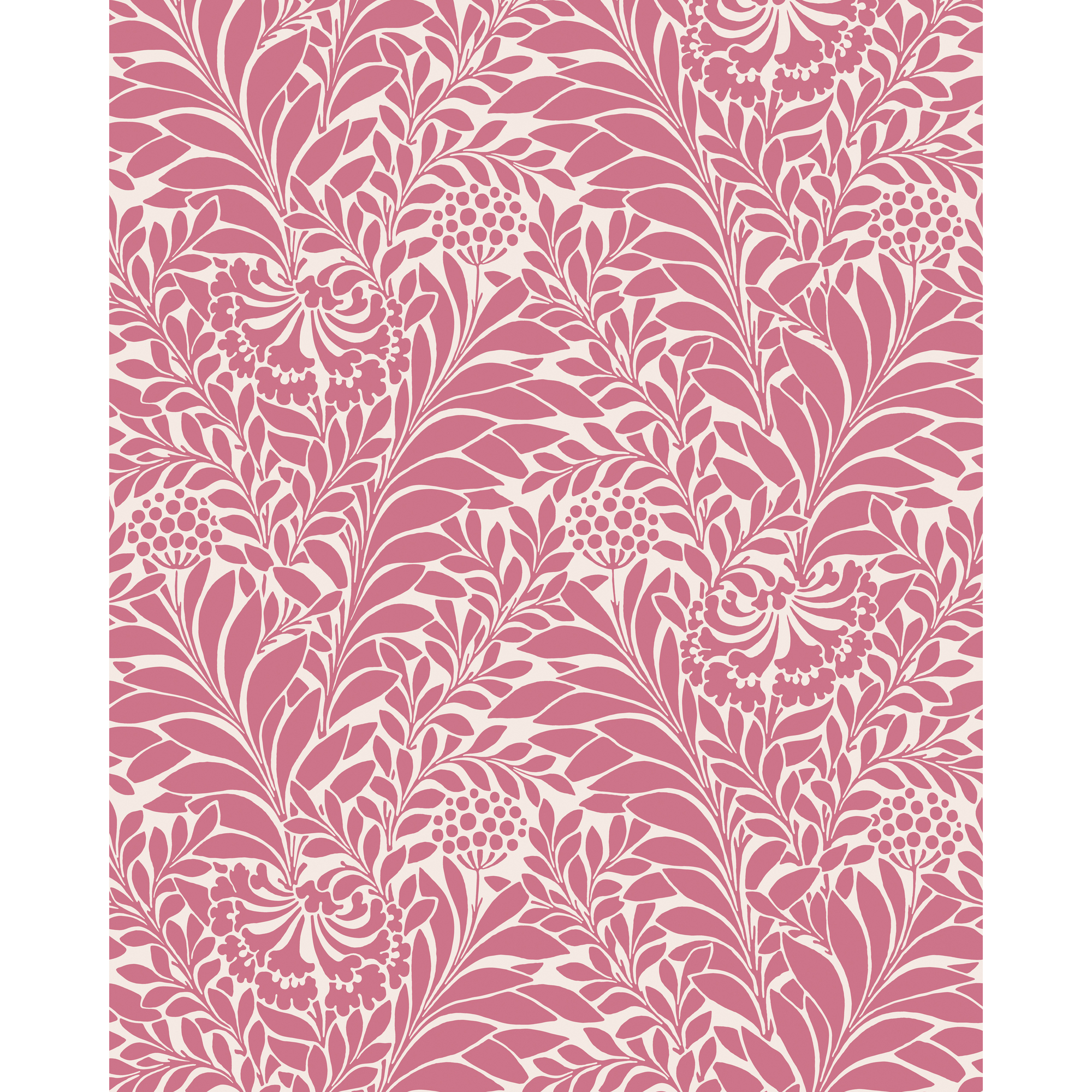 Honeysuckle - Raspberry