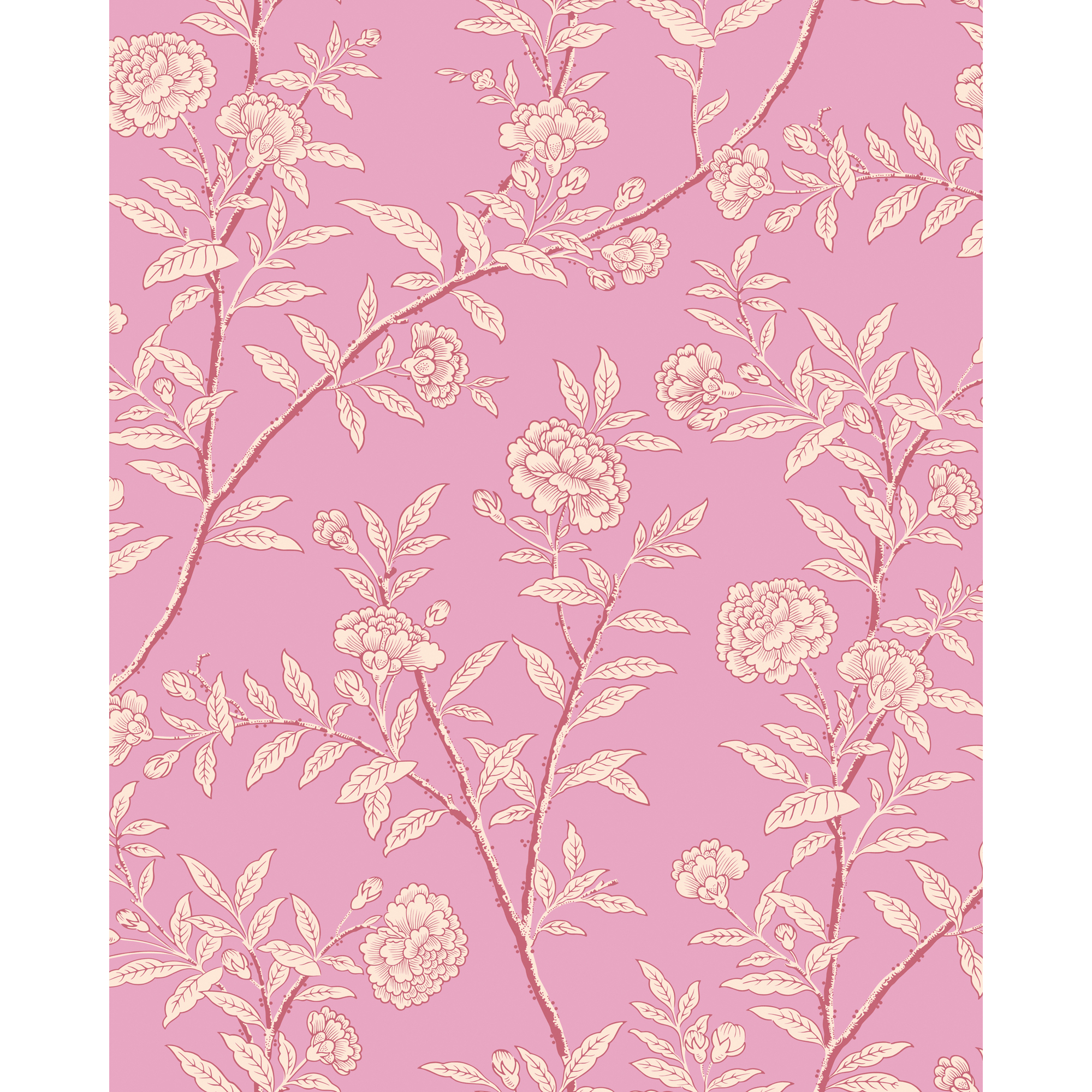 Roseberry - Fuchsia