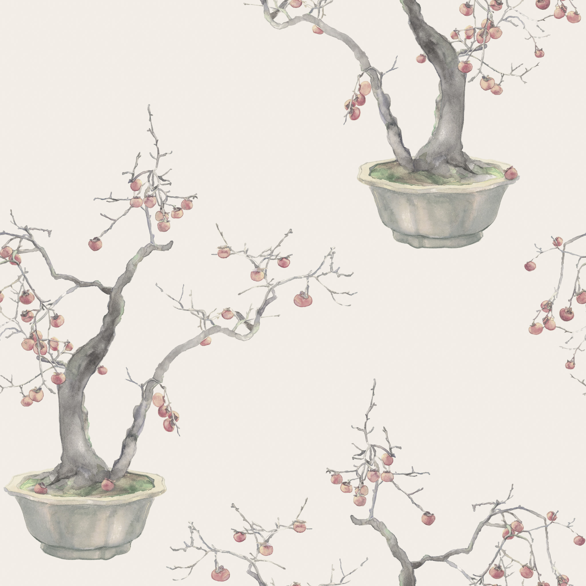 Kaki Persimmon - Silver