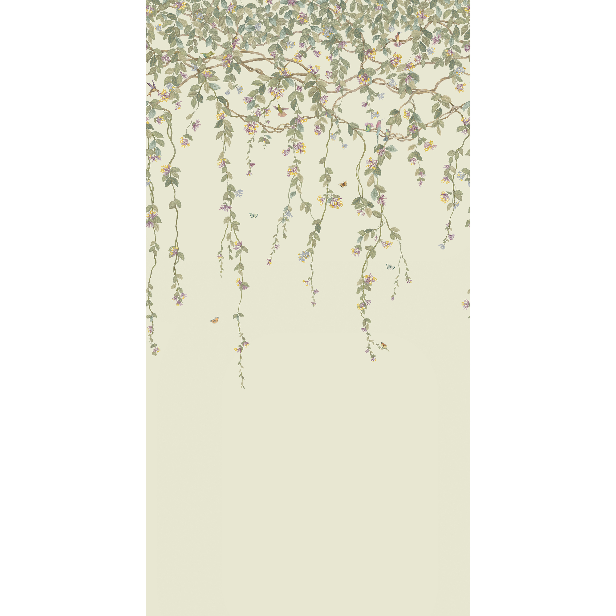 Hummingbirds Flora - Multi