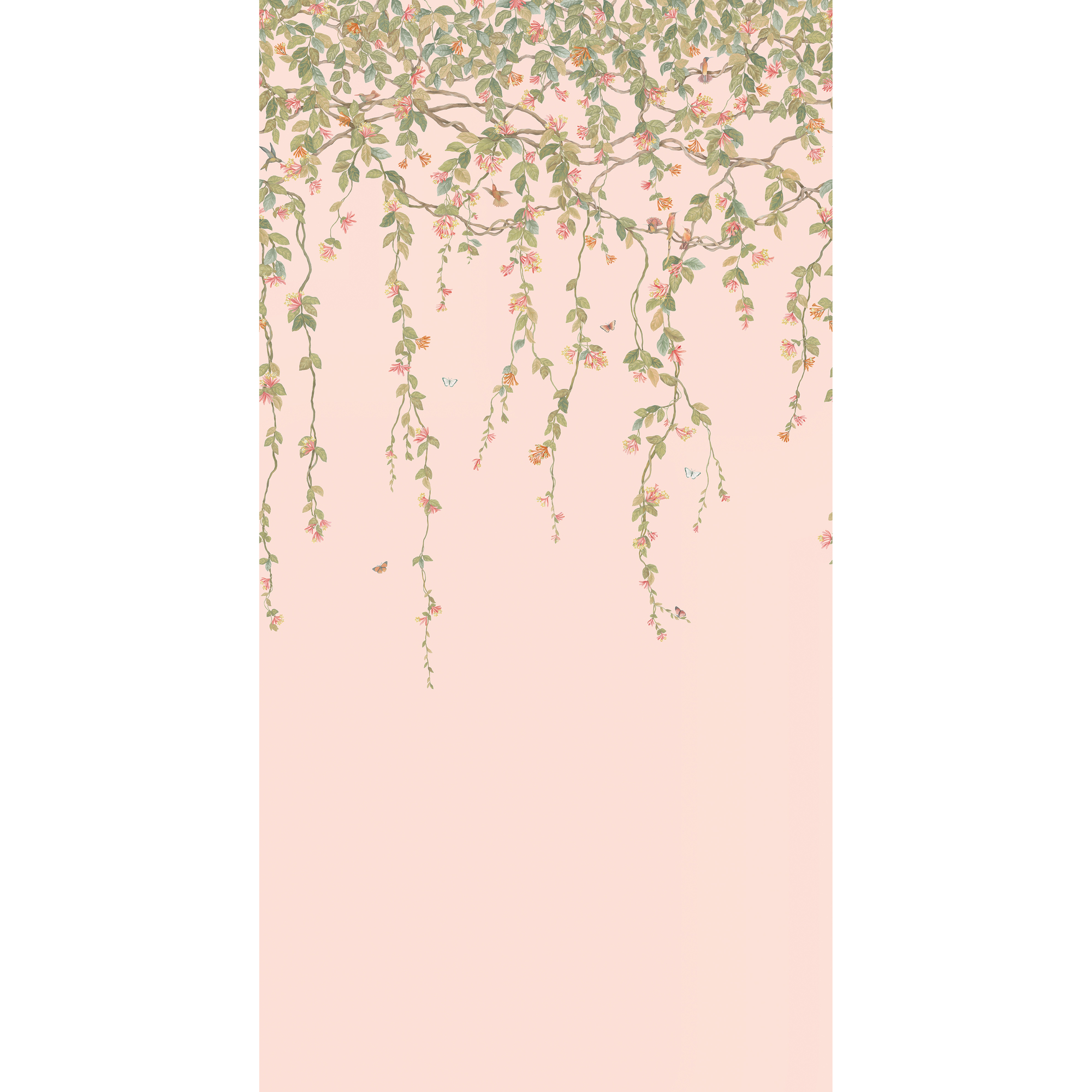 Hummingbirds Flora - Pink