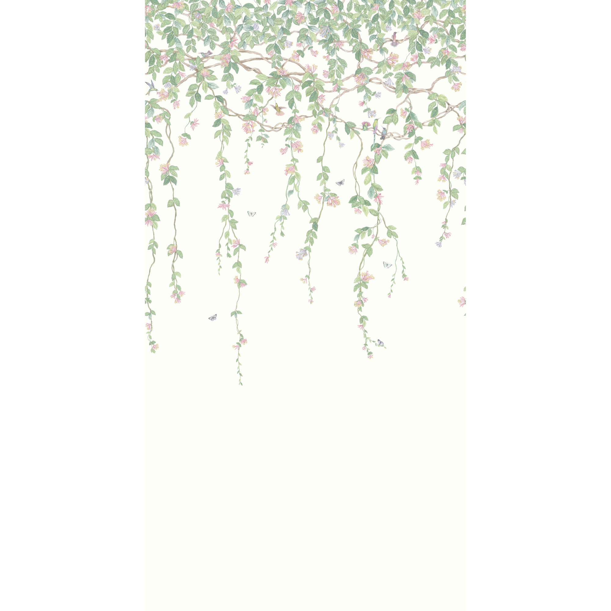 Hummingbirds Flora - Blush