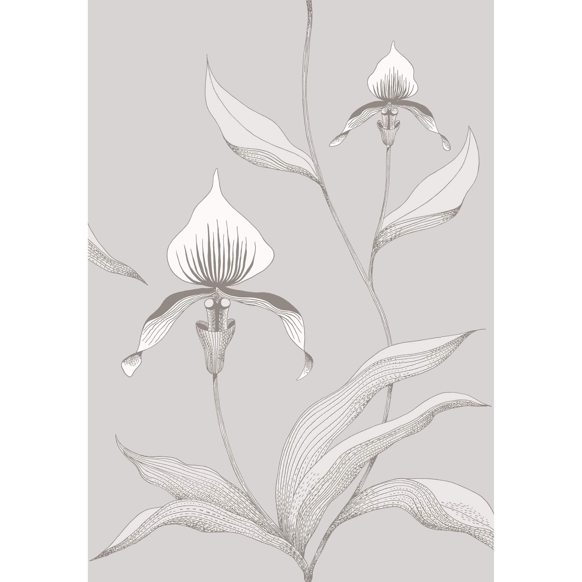 Orchid - Grey/White