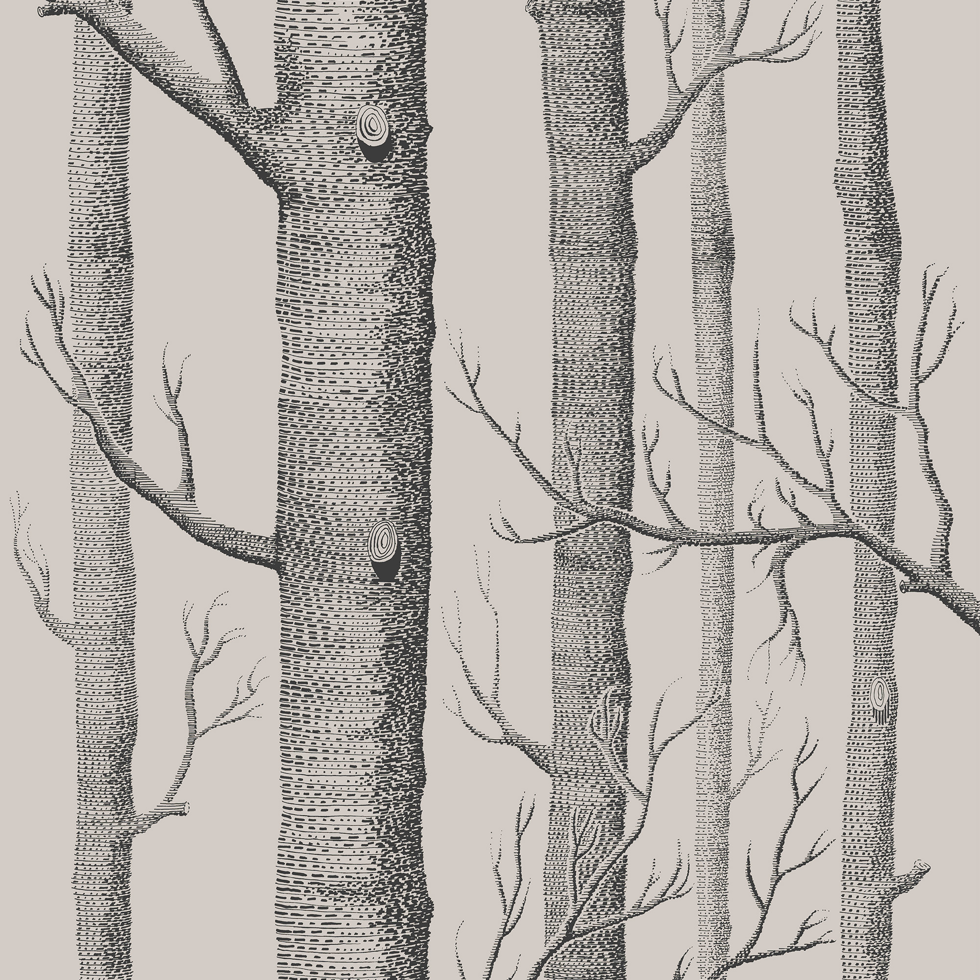 Woods - Linen/Charcoal