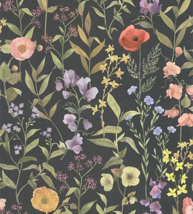 Fleurs Des Champs Papier peint