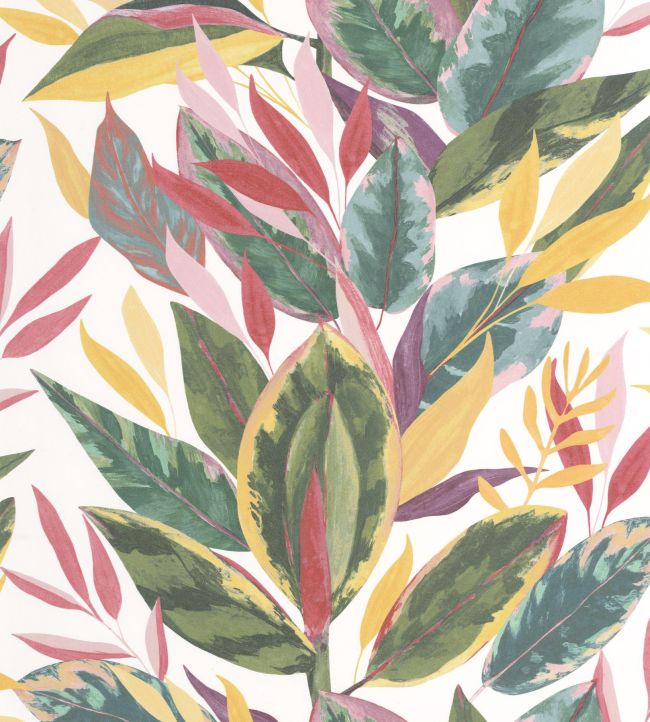 Ficus Papier peint