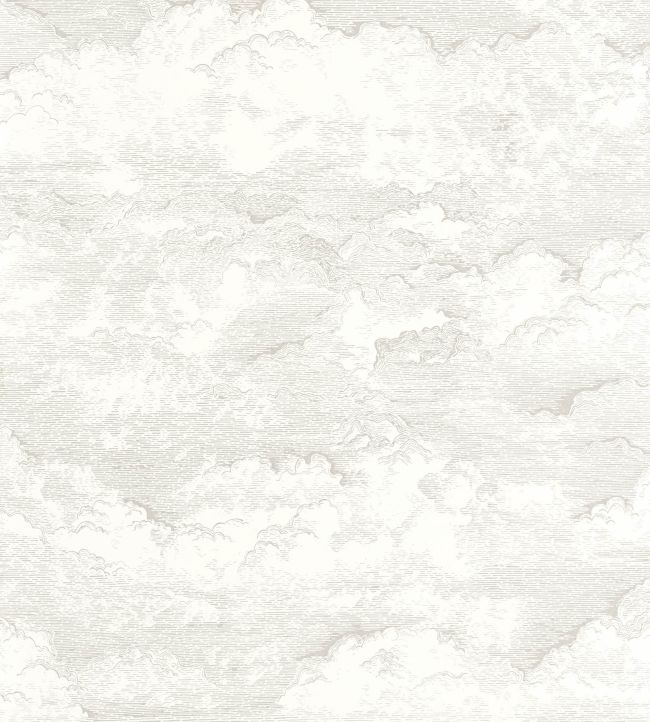 Songe Papier peint