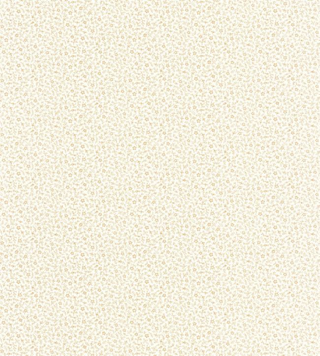 Myosotis Papier peint