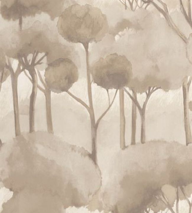 Foret Des Landes Wallpaper