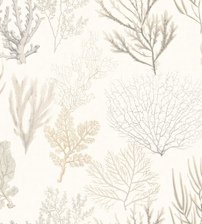Corail Papier peint
