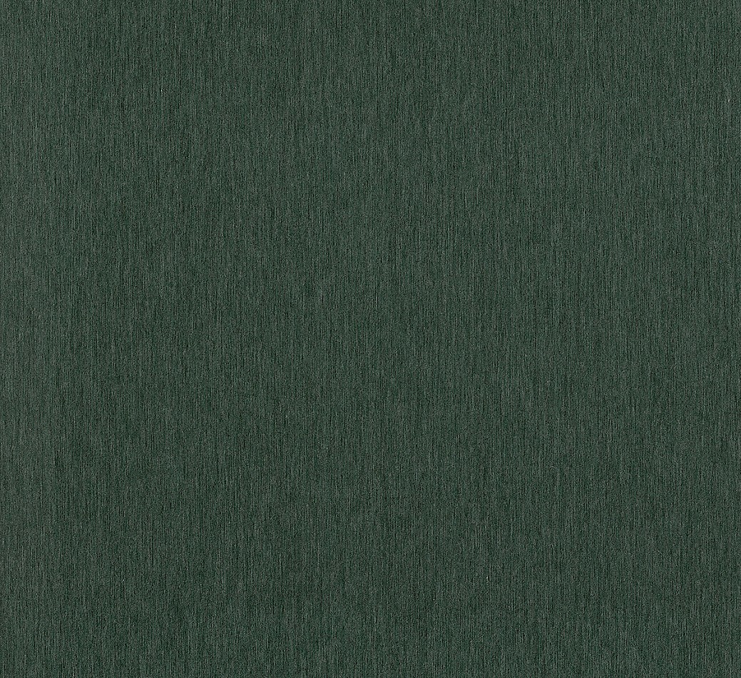 Filo Algae