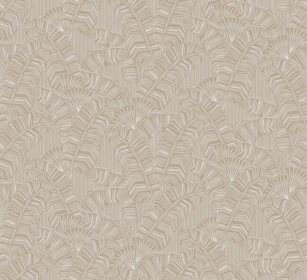 Solana Solana_White